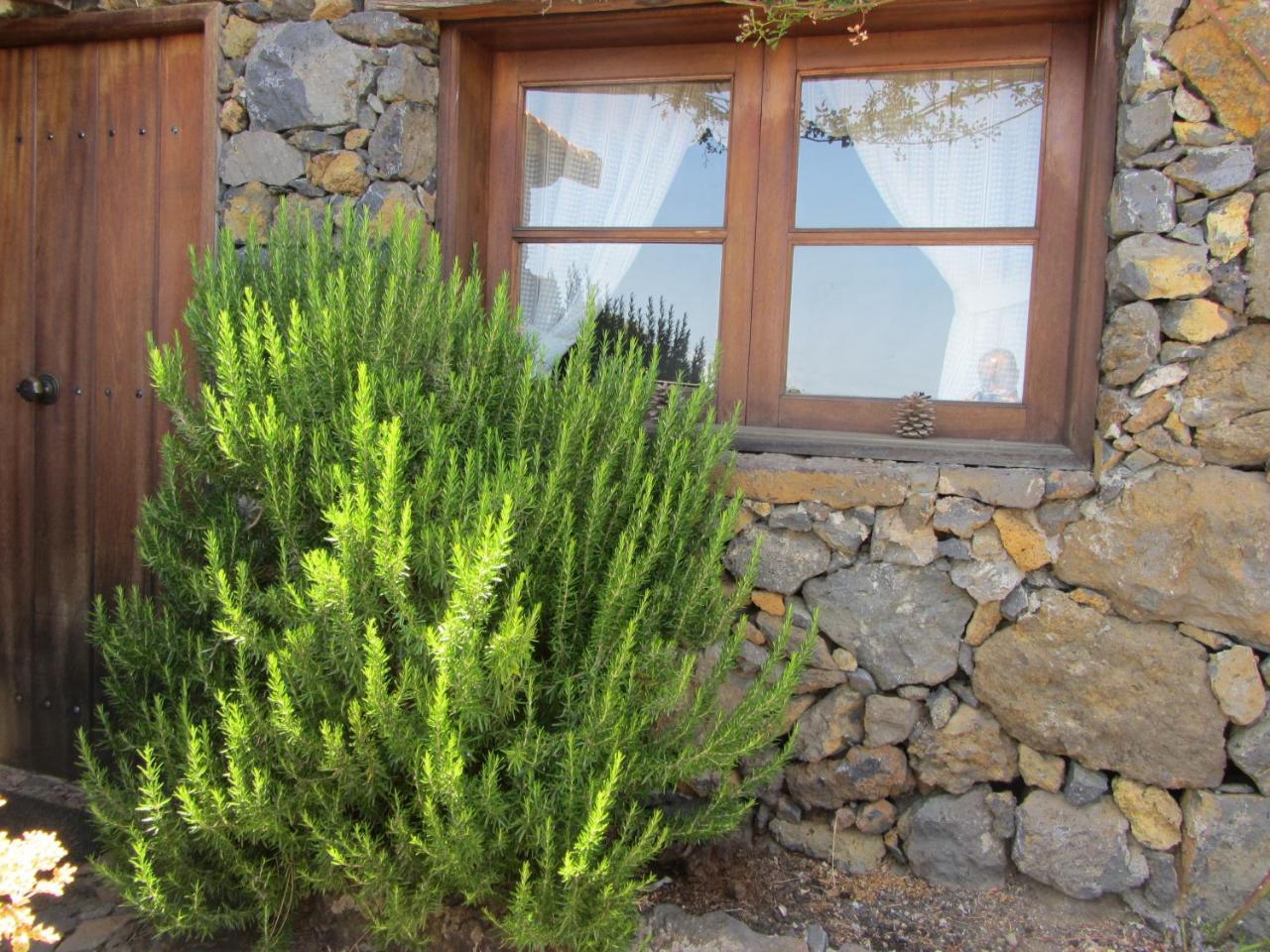 Casa Rural La Jarita El Pinar  Exterior foto