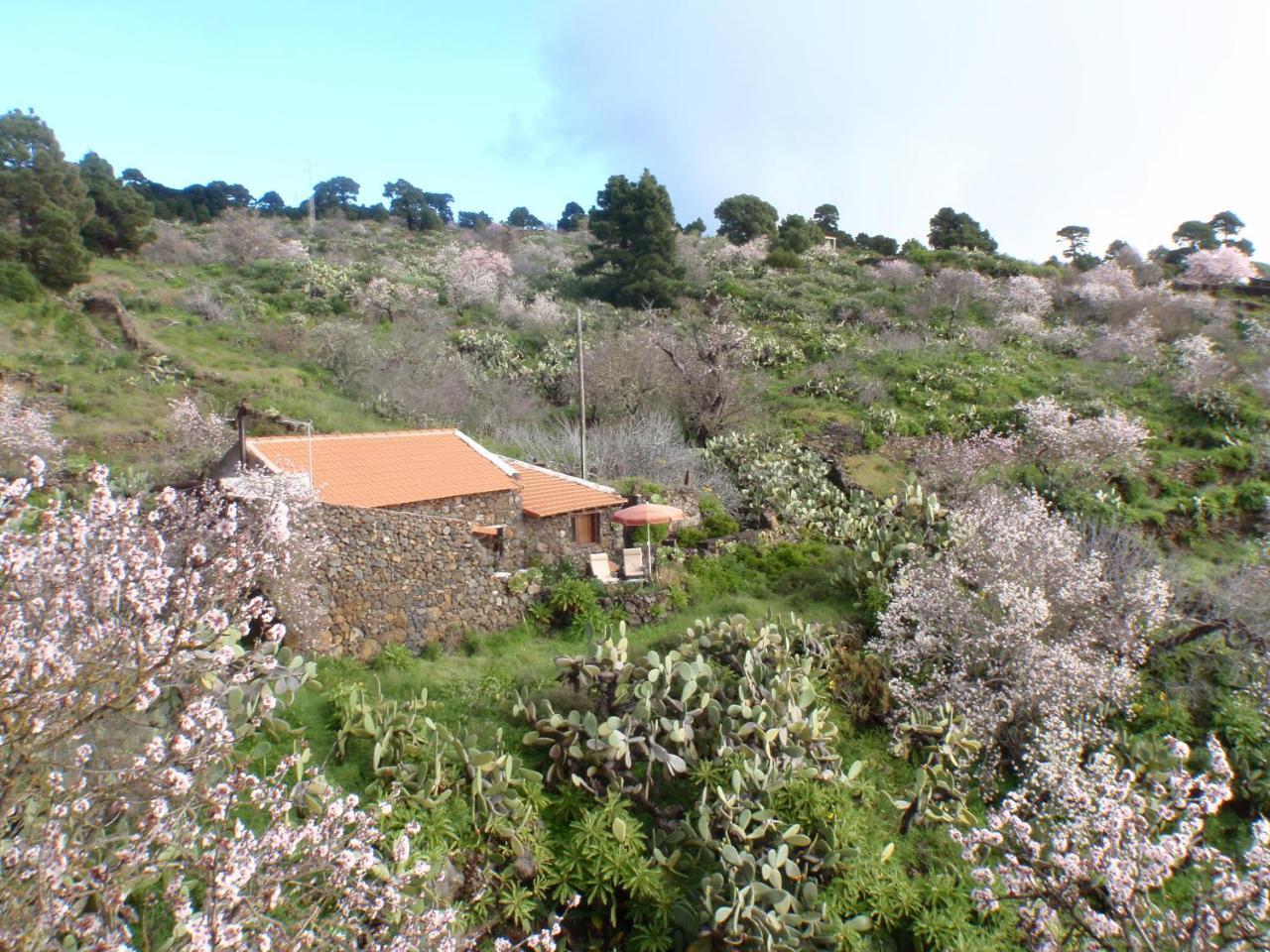 Casa Rural La Jarita El Pinar  Exterior foto